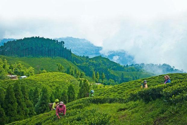 دارجيلنغ Hotel Central View - Darjeeling المظهر الخارجي الصورة