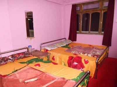 دارجيلنغ Hotel Central View - Darjeeling المظهر الخارجي الصورة